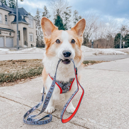 Dog Adjustable Harness - MLB™ x Peanuts™ Chicago White Sox™