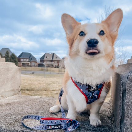 Dog Adjustable Harness - MLB™ x Peanuts™ Chicago White Sox™