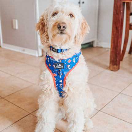 Dog Adjustable Harness - MLB™ x Peanuts™ Toronto Blue Jays™