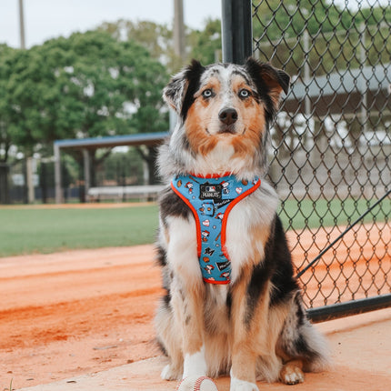 Dog Adjustable Harness - MLB™ x Peanuts™ Miami Marlins™