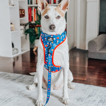 Dog Adjustable Harness - MLB™ x Peanuts™ Toronto Blue Jays™