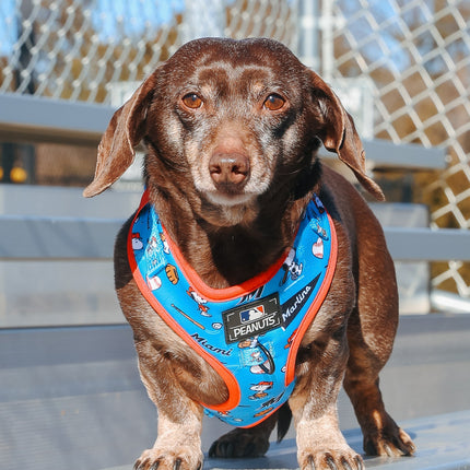 Dog Adjustable Harness - MLB™ x Peanuts™ Miami Marlins™