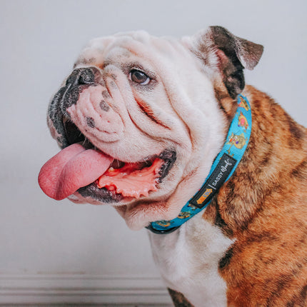 Dog Collar - Nickelodeon CatDog™