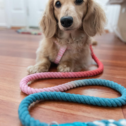 Dog Rope Leash - Jack & Jill