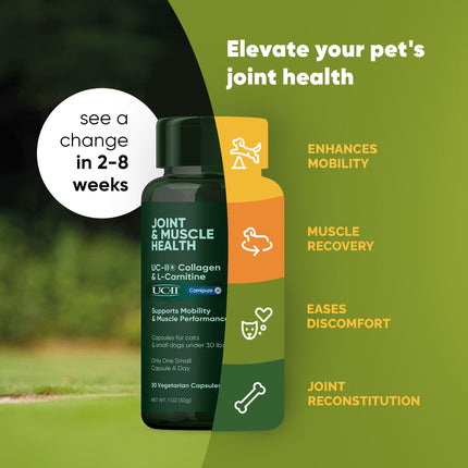 Joint & Muscle Health (Medium & Large Dogs)