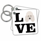 set of 2 Key Chains