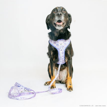 Dog Adjustable Harness - Kuromi™