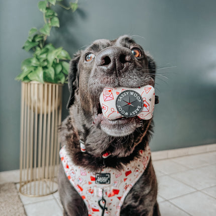 Dog Adjustable Harness - P.S. I Woof You