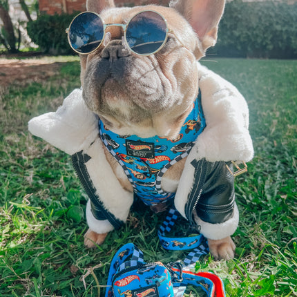 Dog Collar - Hot Wheels™