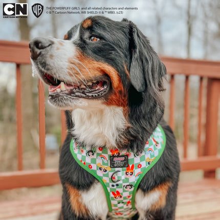 Dog Adjustable Harness - The Powerpuff Girls™ (Green)