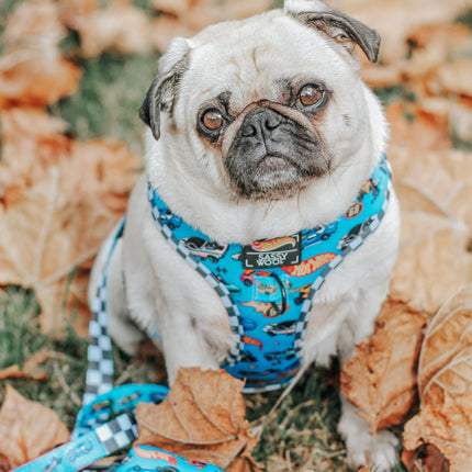 Dog Collar - Hot Wheels™