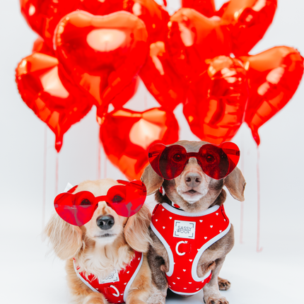 Dog Adjustable Harness - Little Love
