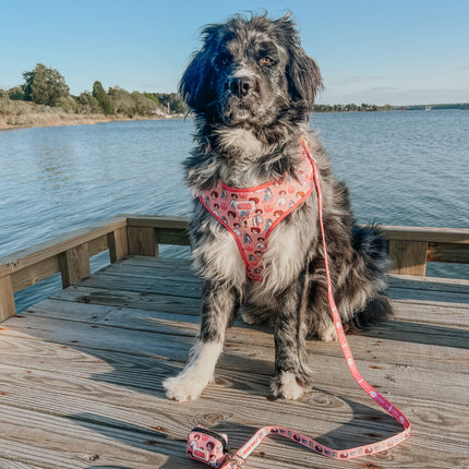 Dog Adjustable Harness - STAR WARS™ Princess Leia