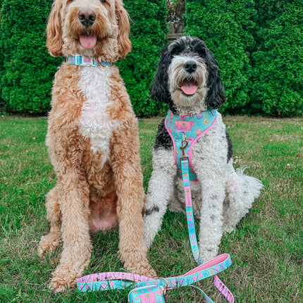 Dog Collar - Polly Pocket™