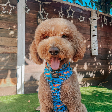 Dog Collar - Hot Wheels™
