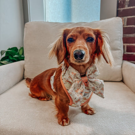 Dog Adjustable Harness - Pompompurin™