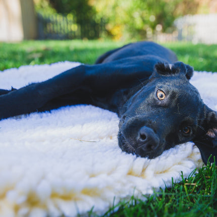HuggleFleece® Mat Cat & Dog Bed