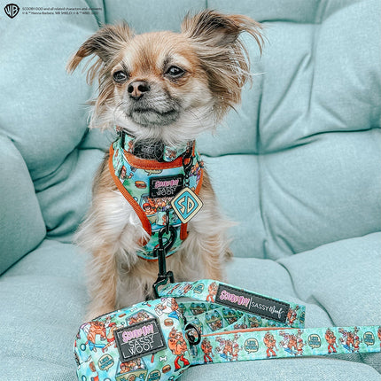 Dog Collar - Scooby-Doo™