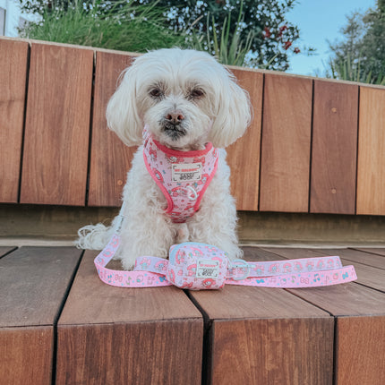 Dog Adjustable Harness - My Melody™