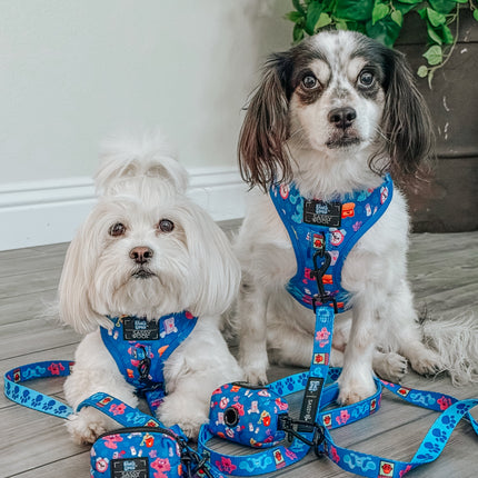 Dog Adjustable Harness - Blue's Clues™