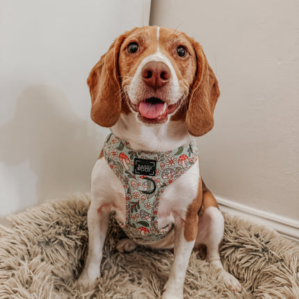 Dog Adjustable Harness - Shrooms & Blooms
