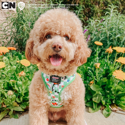 Dog Adjustable Harness - The Powerpuff Girls™ (Green)