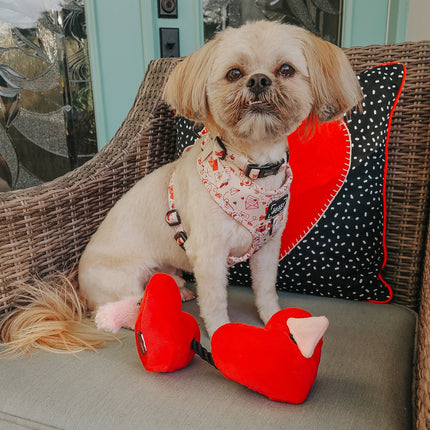 Dog Adjustable Harness - P.S. I Woof You