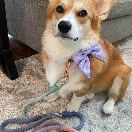 Dog Rope Leash - Orchid