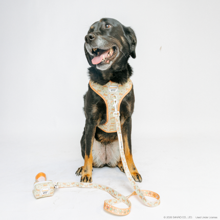 Dog Adjustable Harness - Pompompurin™