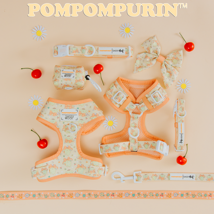 Dog Adjustable Harness - Pompompurin™