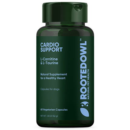 Cardio Support