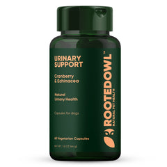 Collection image for: Wellness