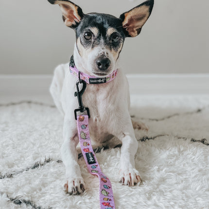 Dog Collar - Tea Pawty