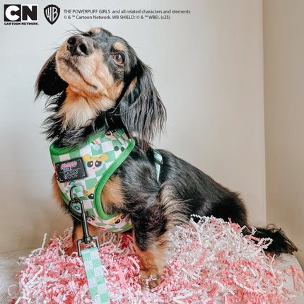 Dog Adjustable Harness - The Powerpuff Girls™ (Green)