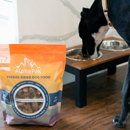PREMIUM RAW FREEZE DRIED DOG FOOD BEEF