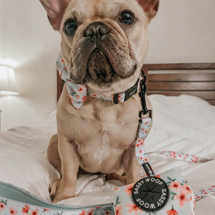 Dog Collar - Sakura