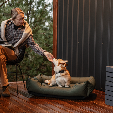 Chester & Lee | Waterproof Sleeper Dog Bed Green
