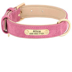 131-1 Pink / XS