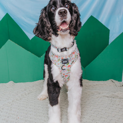 Dog Adjustable Harness - Shrooms & Blooms