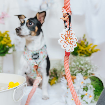 Dog Adjustable Harness - Shrooms & Blooms