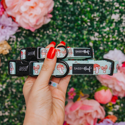 Dog Collar - Shrooms & Blooms
