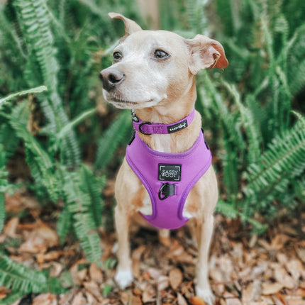 Dog Adjustable Harness - Neon Purple