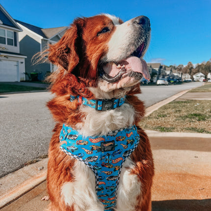 Dog Collar - Hot Wheels™