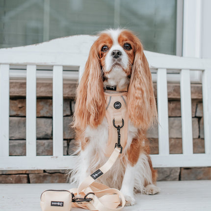 Dog Step-in Harness - Daffodil