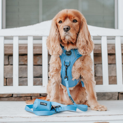 Dog Step-in Harness - Hydrangea