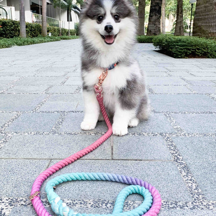 Dog Rope Leash - Unicorn