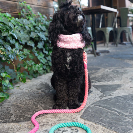Dog Rope Leash - Unicorn