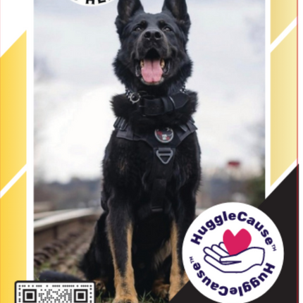 HuggleCause™, Project K-9 Hero, K-9 Mattis Knottie® Plush Dog Toy, Large
