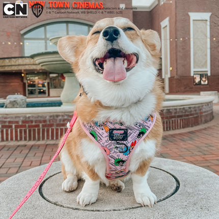 Dog Adjustable Harness - The Powerpuff Girls™ (Pink)