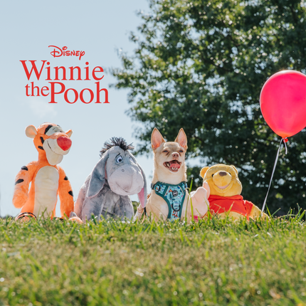 Dog Step-in Harness - Disney's Winnie the Pooh